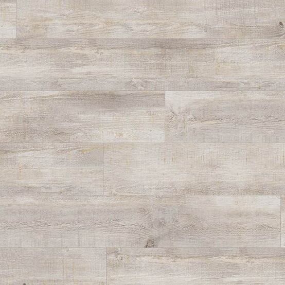 0060 Arena / na lepenie