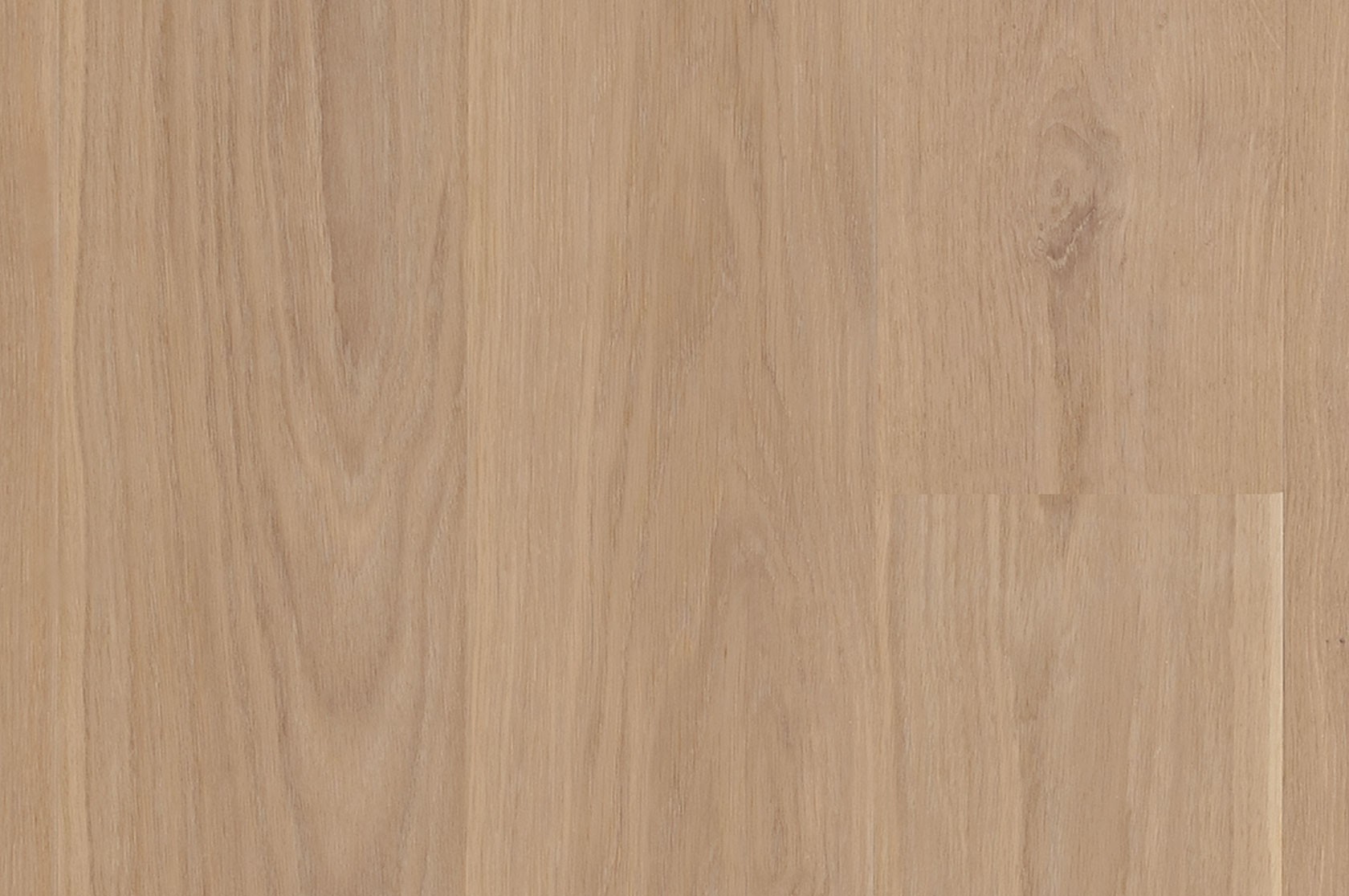 Dub biely / matný lak biely / mikro 4V