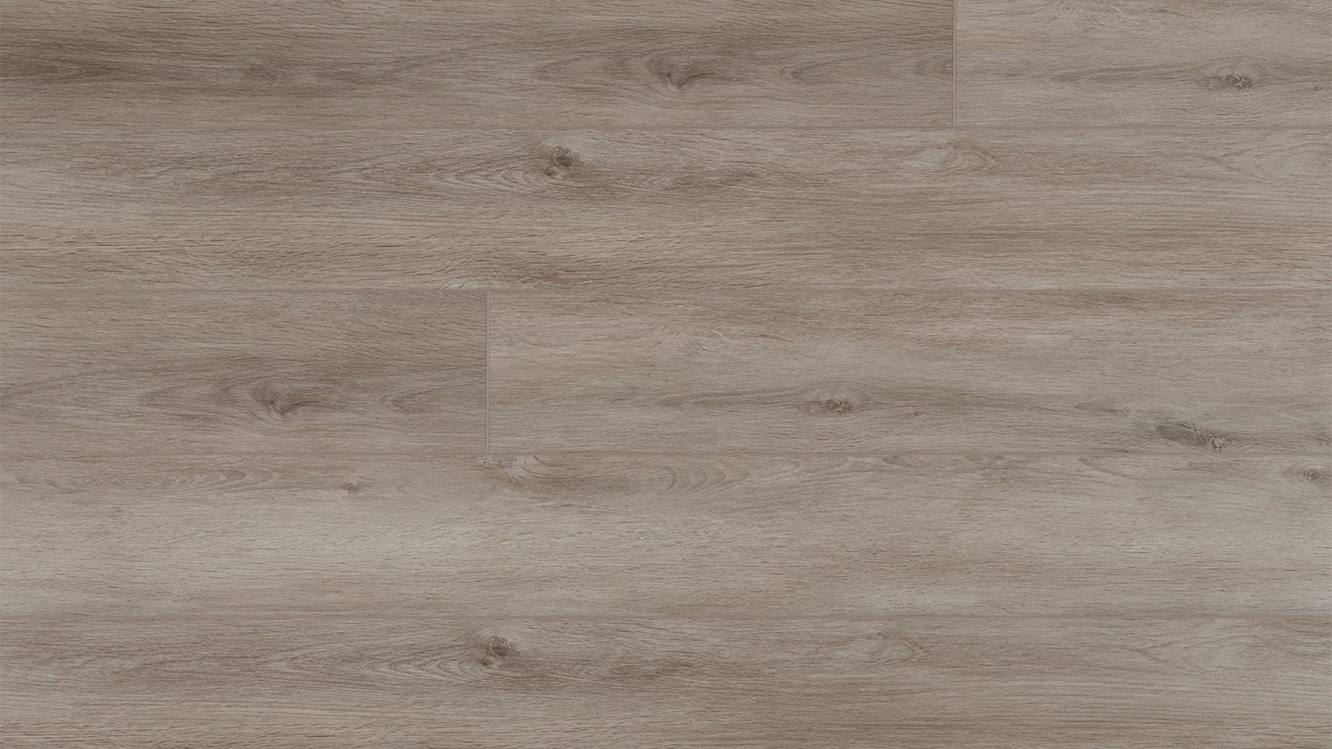 50-RLV-1217 Absolute