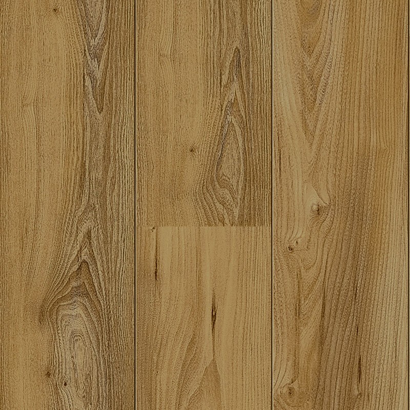 60056 Montalcino Brest