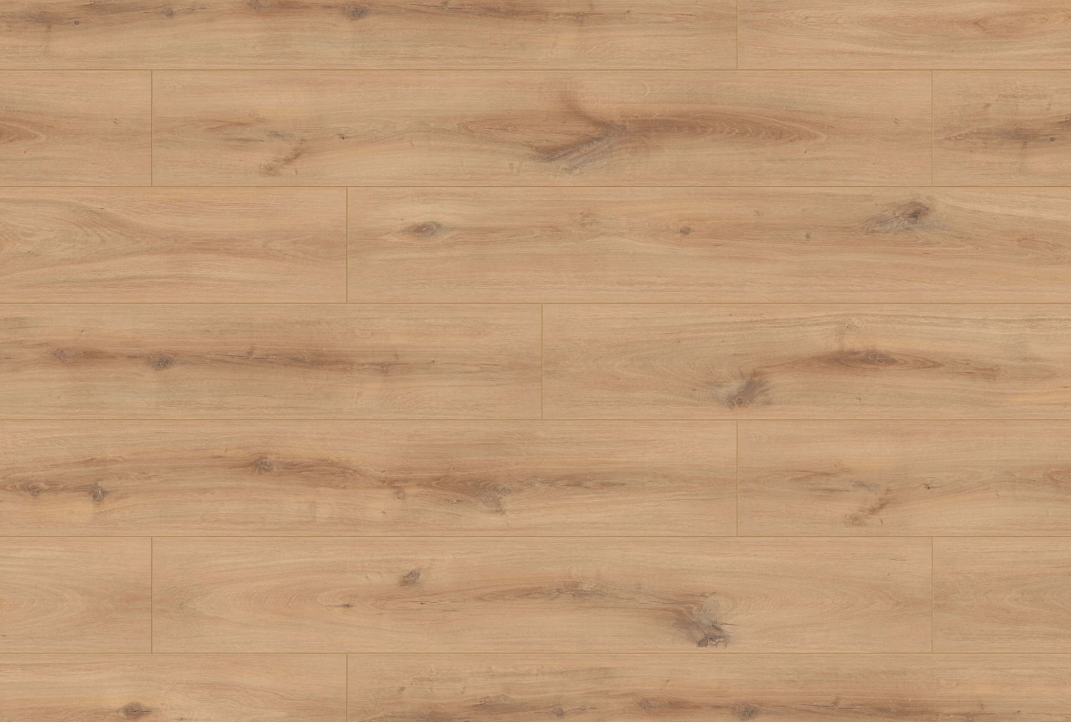 K230 Dub Golden Vista - Organic Classic