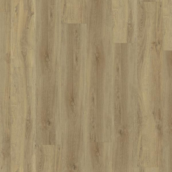 1025 Baita Medium / Virtuo 55 Rigid