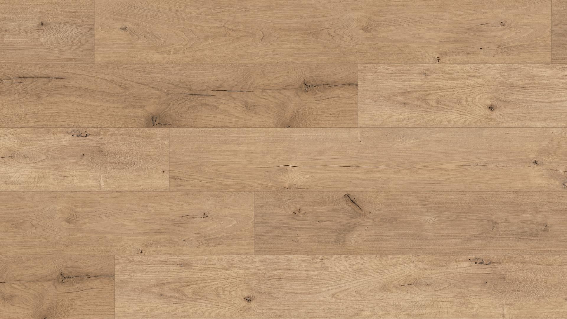 K2143 EG Dub Ferrara Beachlin / štandardné lamely