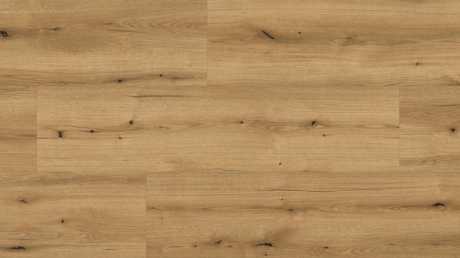 K5573 EG Dub Evoke Coast / smart lamely