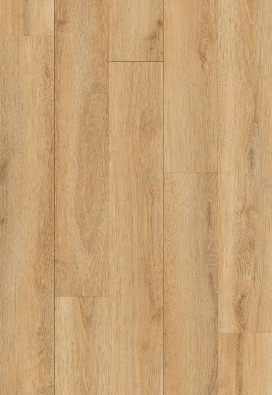 K788 Dub Beige Parioli / Atlantic 8.0