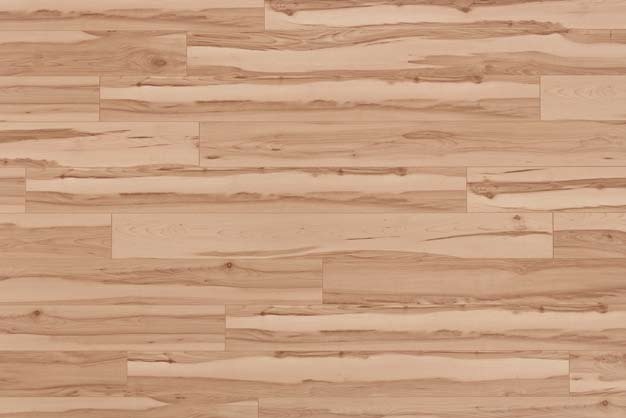 MF3246 Javor jadrový