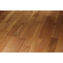 Čerešňa európska parená / matný lak