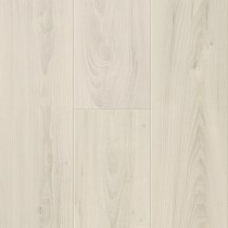 60039 Magnolia Brest