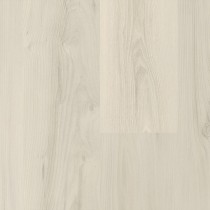 60039 Magnolia Brest