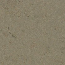Champagner grey - DOPREDAJ