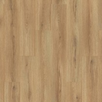 K654 Dub Sand Cantal / Atlantic 7.0