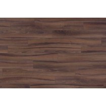 MF3251 Orech perigordský